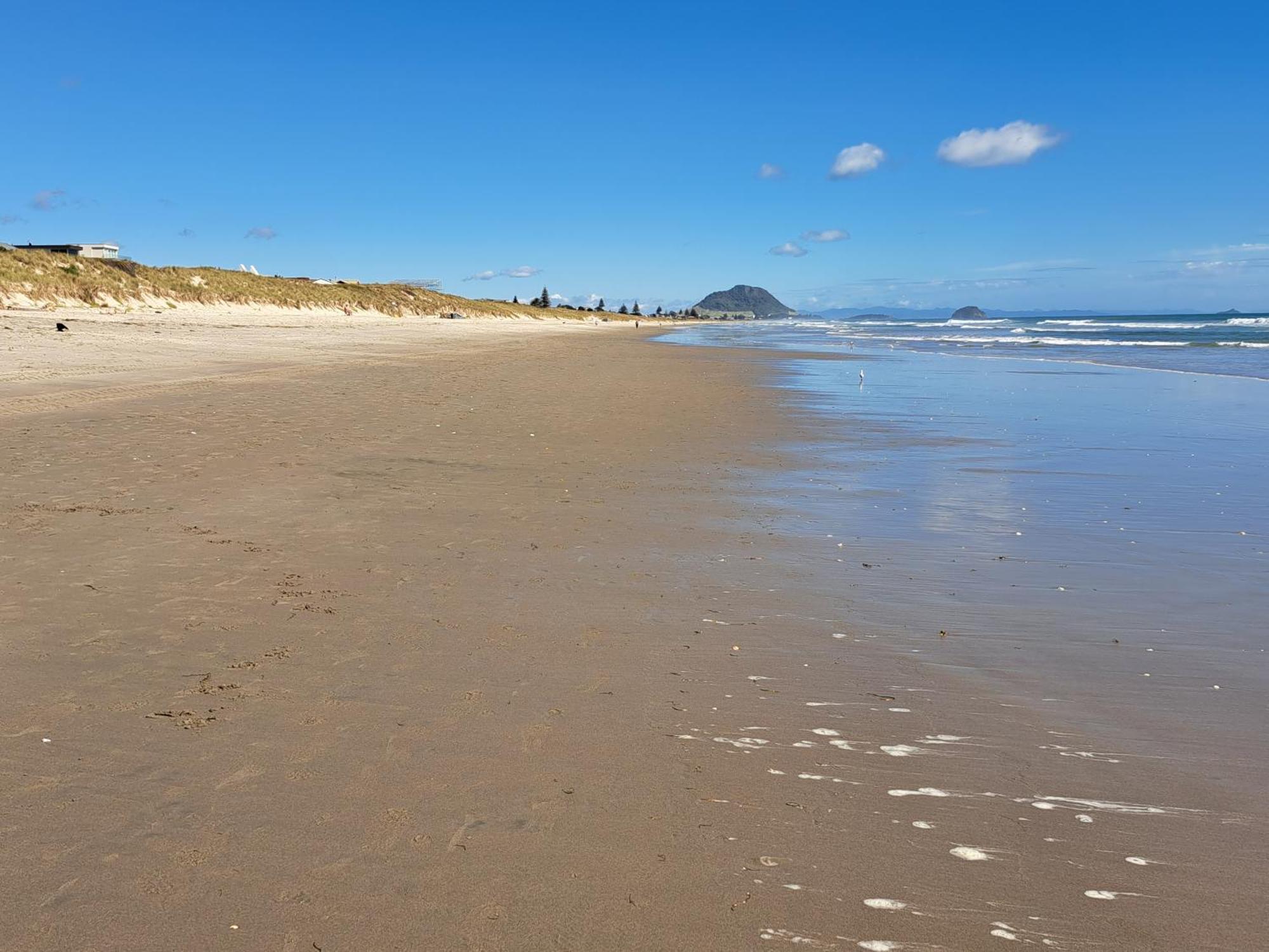 Sunbrae Beach Sands Y Mount Maunganui Extérieur photo